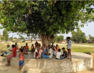 মাঝি পারগানা